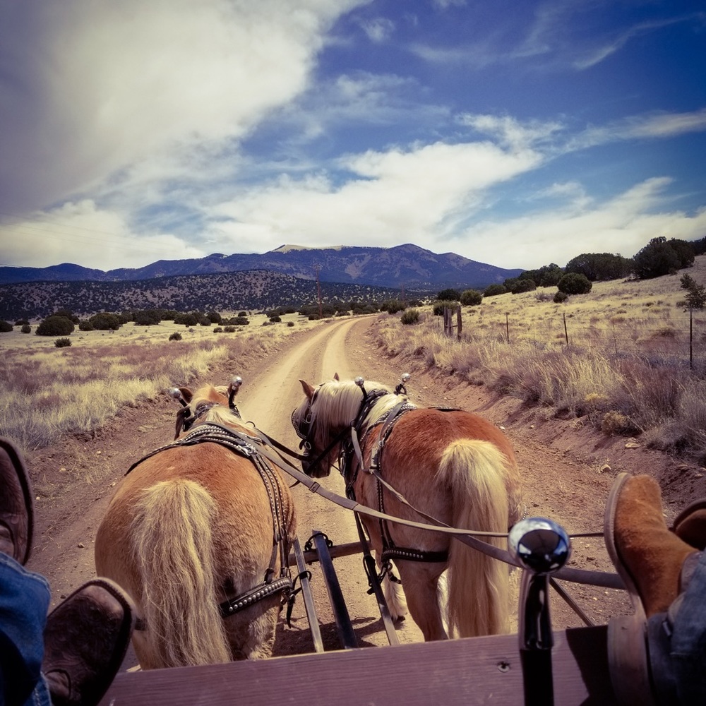 Meet your Posher, Casey